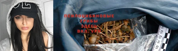 гидра Россошь