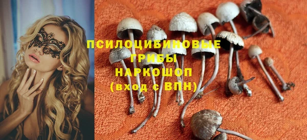 ПСИЛОЦИБИНОВЫЕ ГРИБЫ Ростов