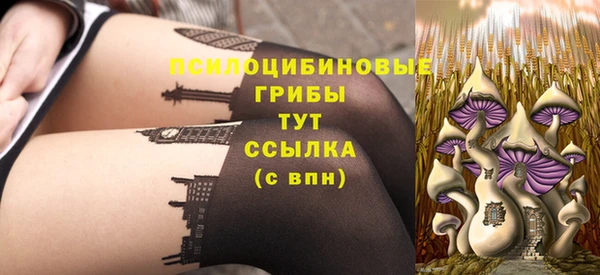 гидра Россошь