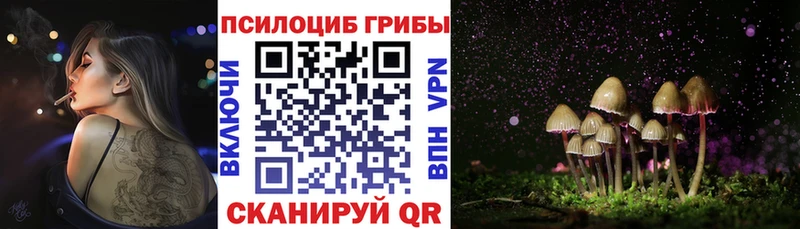 Псилоцибиновые грибы GOLDEN TEACHER  Купить где  Сухой Лог 